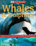 Whales and Dolphins (Eye Wonder Series)