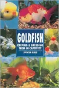 Goldfish