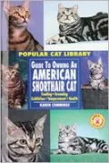Guide to Owning an American Shorthair Cat