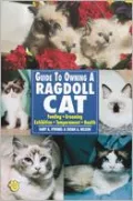 Guide to Owning a Ragdoll Cat