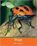 Bugs