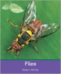 Flies by Shane F. McEvey — book cover