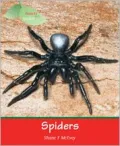Spiders
