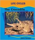The Crocodile