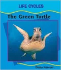 Green Turtle