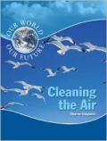 Cleaning the Air