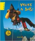 What a Job!