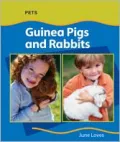 Guinea Pigs and Rabbits