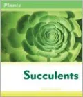 Succulents