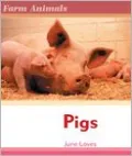 Pigs