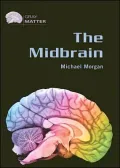 The Midbrain