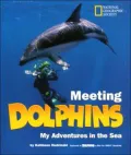 Meeting Dolphins