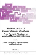 Self-Production of Supramolecular Structures