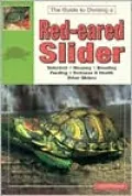 Red Eared Slider Turtles