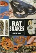 Rat Snakes