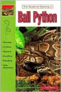Ball Pythons