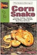 The Guide to Owning a Corn Snake