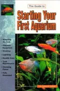 Guide to Setting up an Aquarium