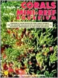A Guide to Corals for the Mini Reef Aquarium