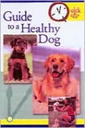 Quick and Easy Guide to a Healthy Dog