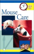 Mouse Care