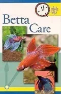 Quick and Easy Betta Care