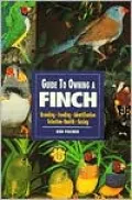 Guide to Owning a Finch