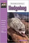 The Guide to Owning a Hedgehog