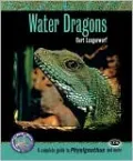 Water Dragons: A Complete Guide to Physignathus and More