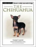 The Chihuahua