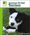 American Pit Bull Terriers