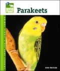 Parakeets