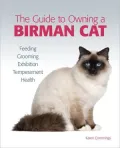 The Guide to Owning a Birman Cat