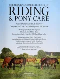 Riding and Pony Care