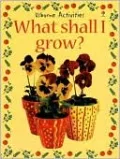 What Shall I Grow? (Usborne Activities)