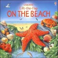 On the Beach (Lift-the-Flap Series)