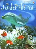 Under the Sea Level 1: Internet Referenced