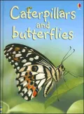 Caterpillars and Butterflies - Internet Referenced (Level 1)