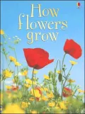 How Flowers Grow