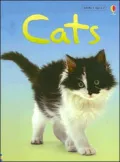 Cats Level 1: Internet Referenced