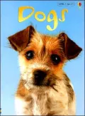 Dogs Level 1: Internet Referenced