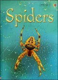 Spiders Level 1: Internet Referenced