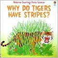 Why Do Tigers Have Stripes?