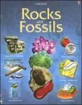 Rocks and Fossils