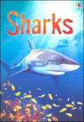 Sharks: Information for Young Readers - Level 1