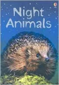 Night Animals: Level 1