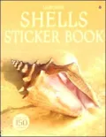 Shells Sticker Book
