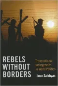 Rebels without Borders: Transnational Insurgencies in World Politics