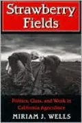 Strawberry Fields: Politics, Class and Work in California Agriculture