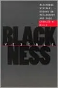 Blackness Visible: Essays on Philosophy and Race